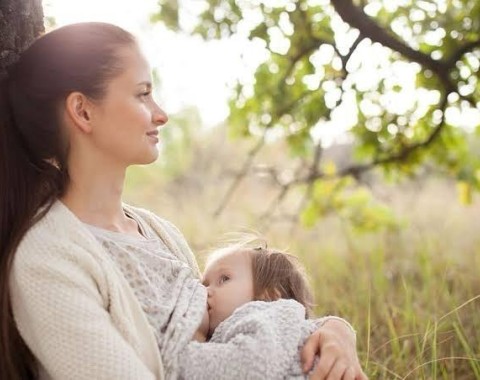 Nutrition During Breastfeeding