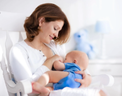 Nutrition During Breastfeeding